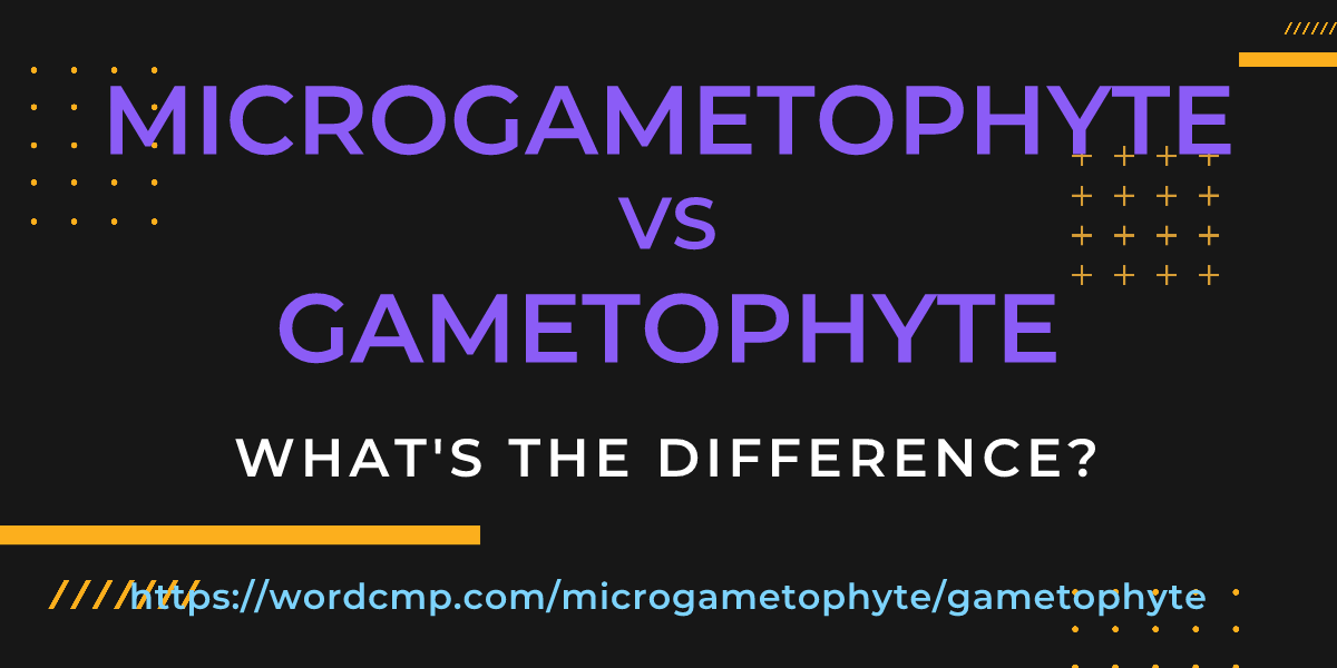 Difference between microgametophyte and gametophyte