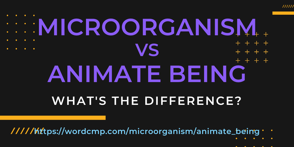Difference between microorganism and animate being
