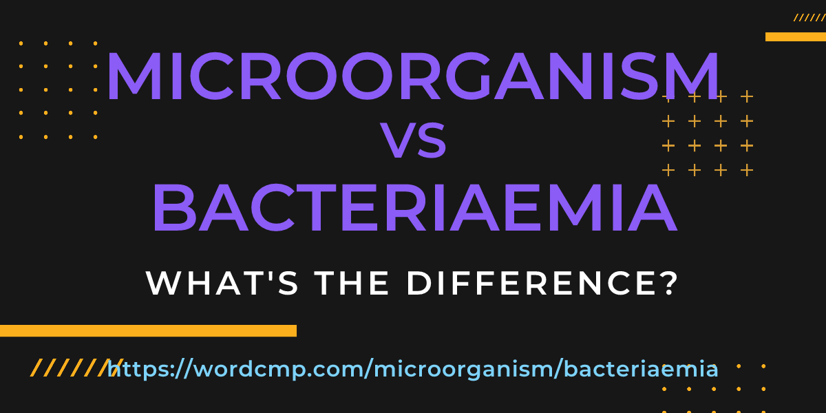 Difference between microorganism and bacteriaemia
