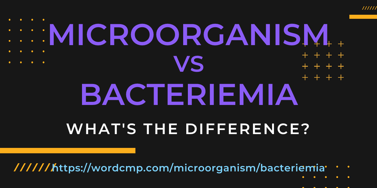 Difference between microorganism and bacteriemia