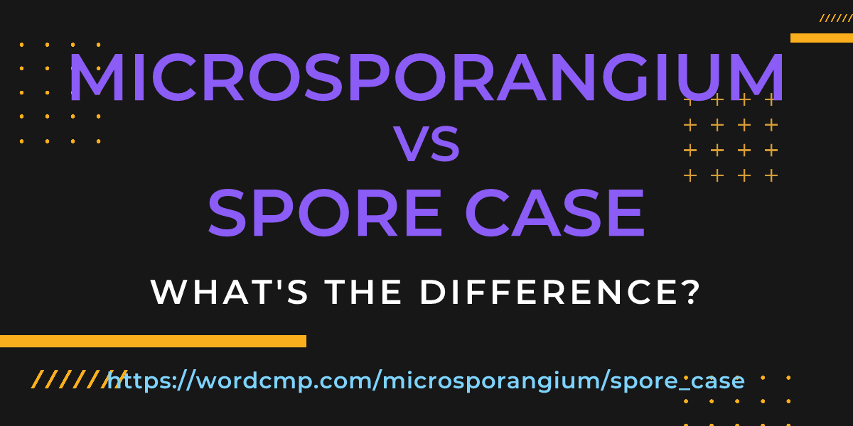 Difference between microsporangium and spore case