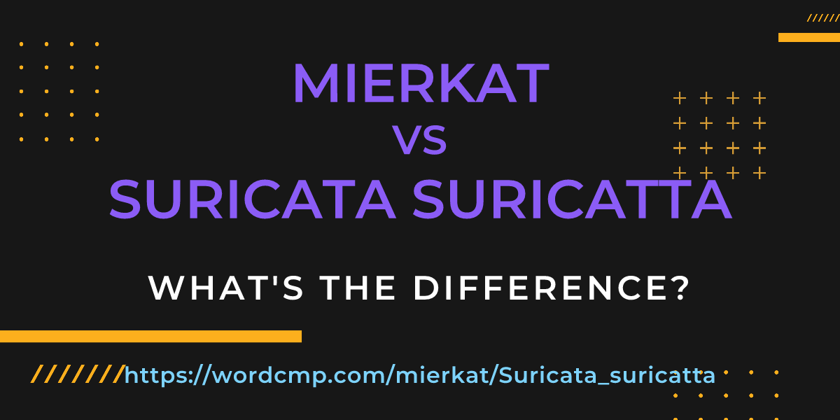 Difference between mierkat and Suricata suricatta