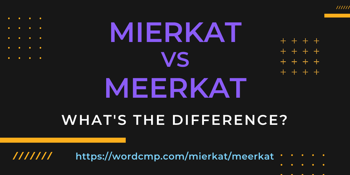 Difference between mierkat and meerkat