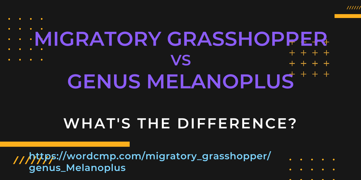 Difference between migratory grasshopper and genus Melanoplus