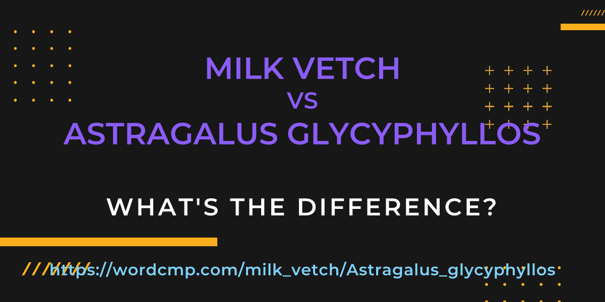 Difference between milk vetch and Astragalus glycyphyllos