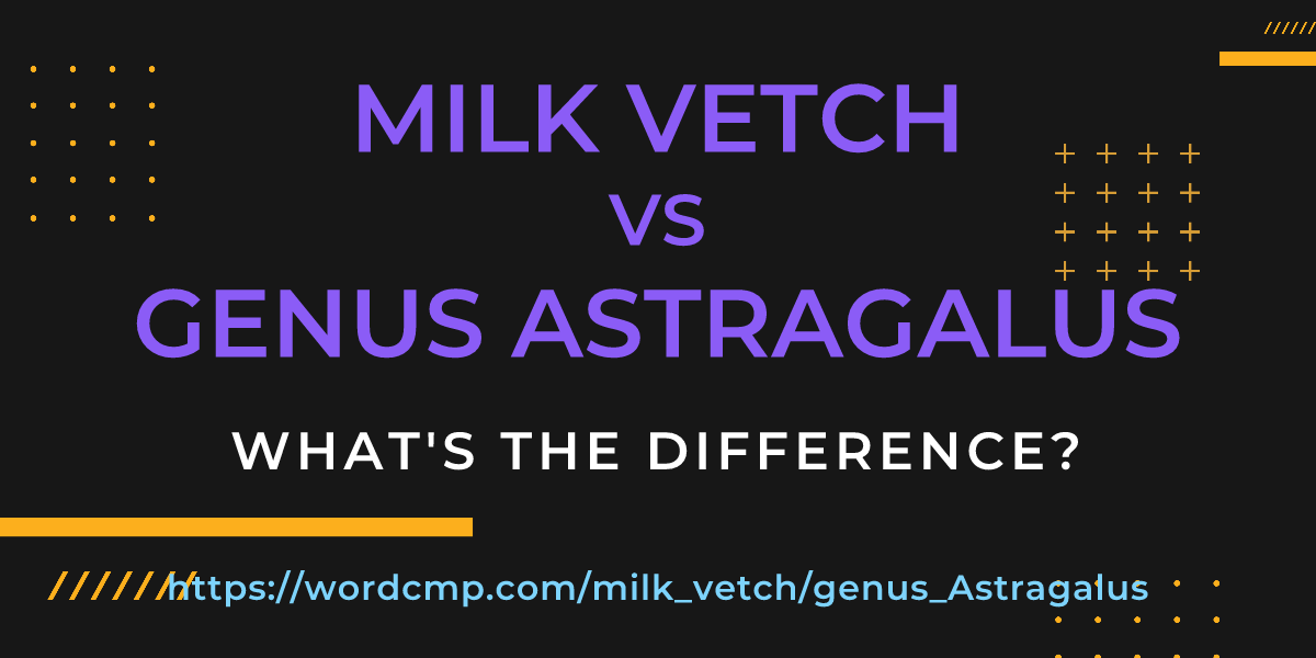 Difference between milk vetch and genus Astragalus