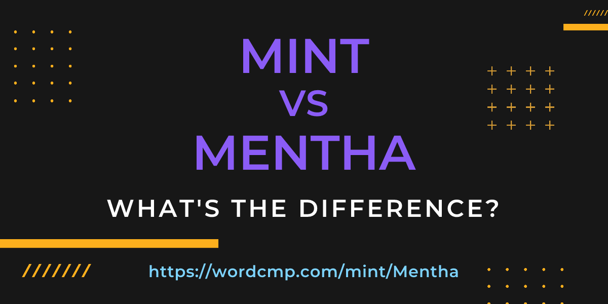 Difference between mint and Mentha