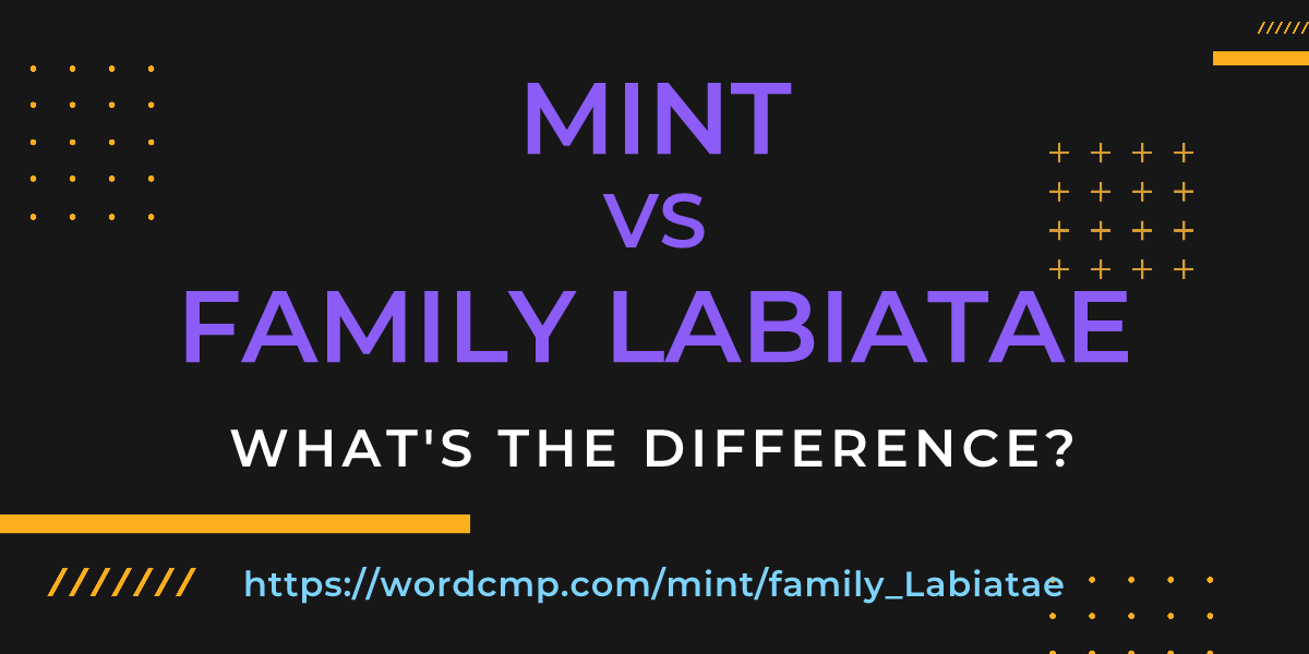 Difference between mint and family Labiatae