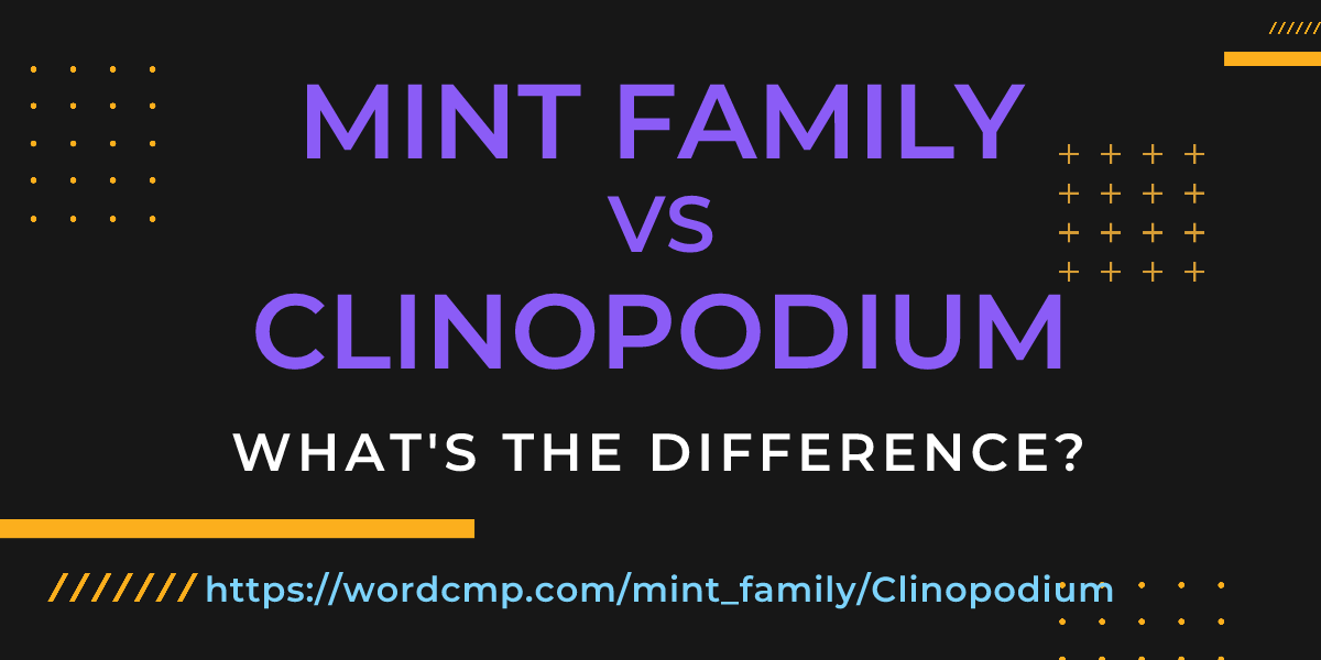 Difference between mint family and Clinopodium