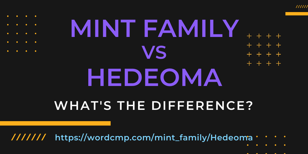 Difference between mint family and Hedeoma
