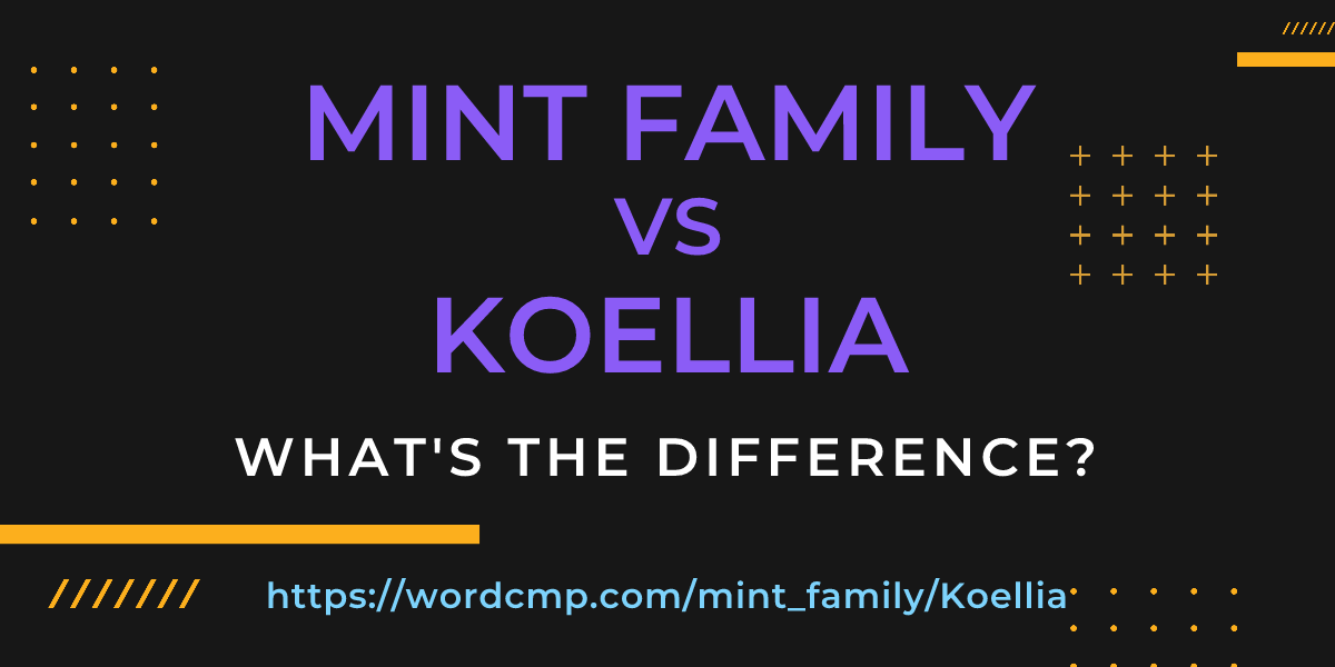 Difference between mint family and Koellia