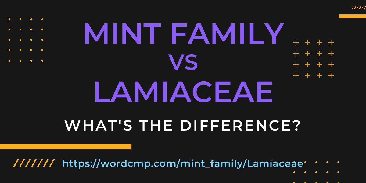 Difference between mint family and Lamiaceae