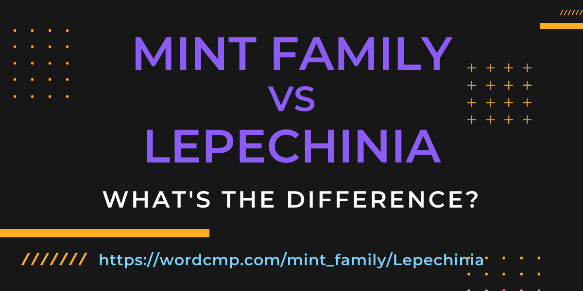 Difference between mint family and Lepechinia