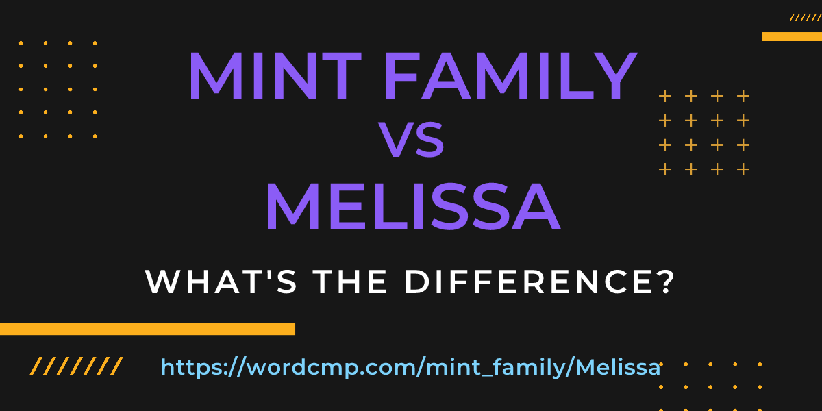 Difference between mint family and Melissa