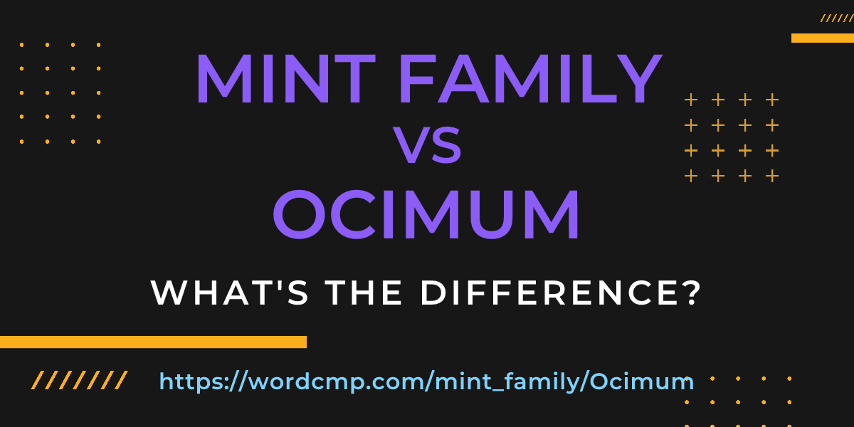Difference between mint family and Ocimum