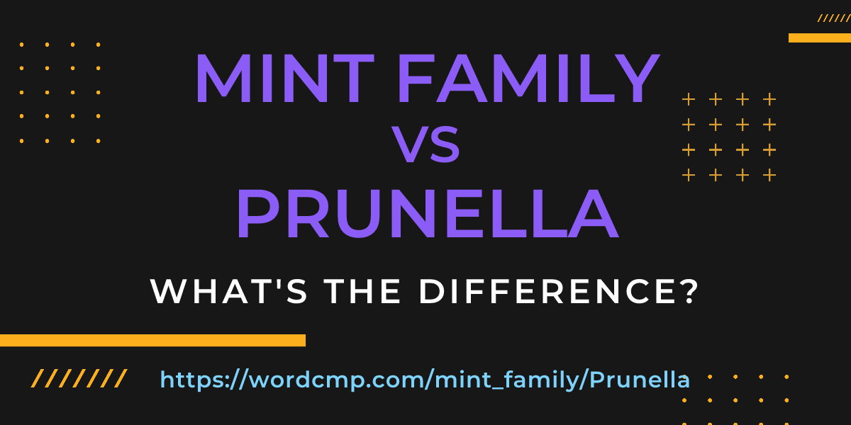 Difference between mint family and Prunella
