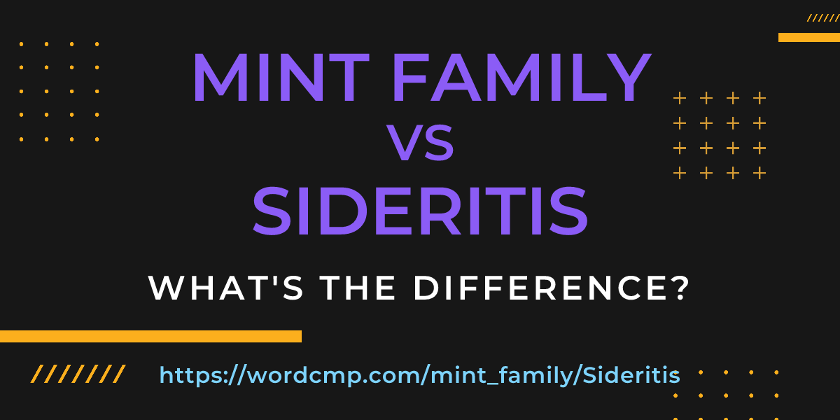 Difference between mint family and Sideritis
