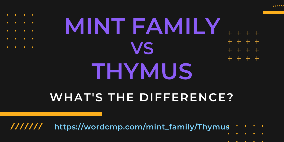 Difference between mint family and Thymus