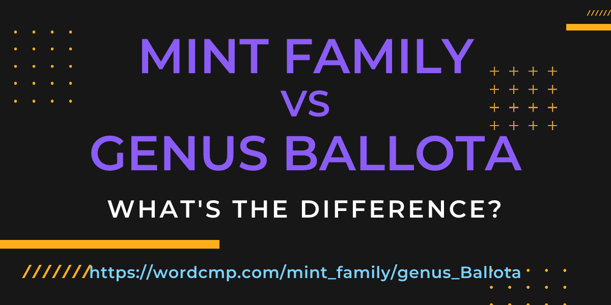 Difference between mint family and genus Ballota