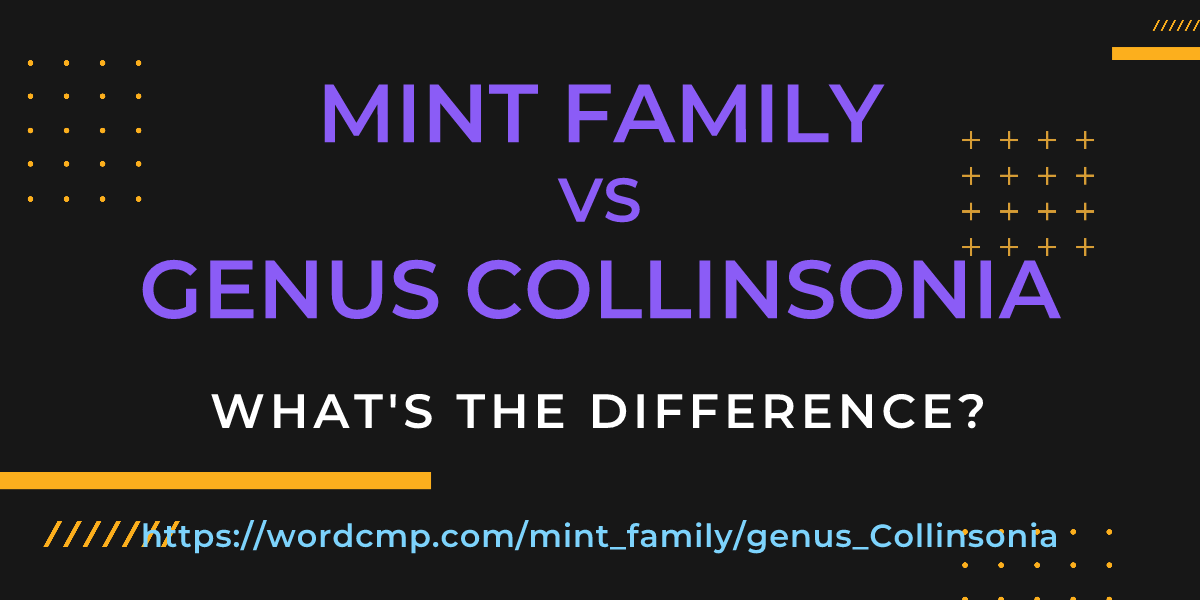 Difference between mint family and genus Collinsonia