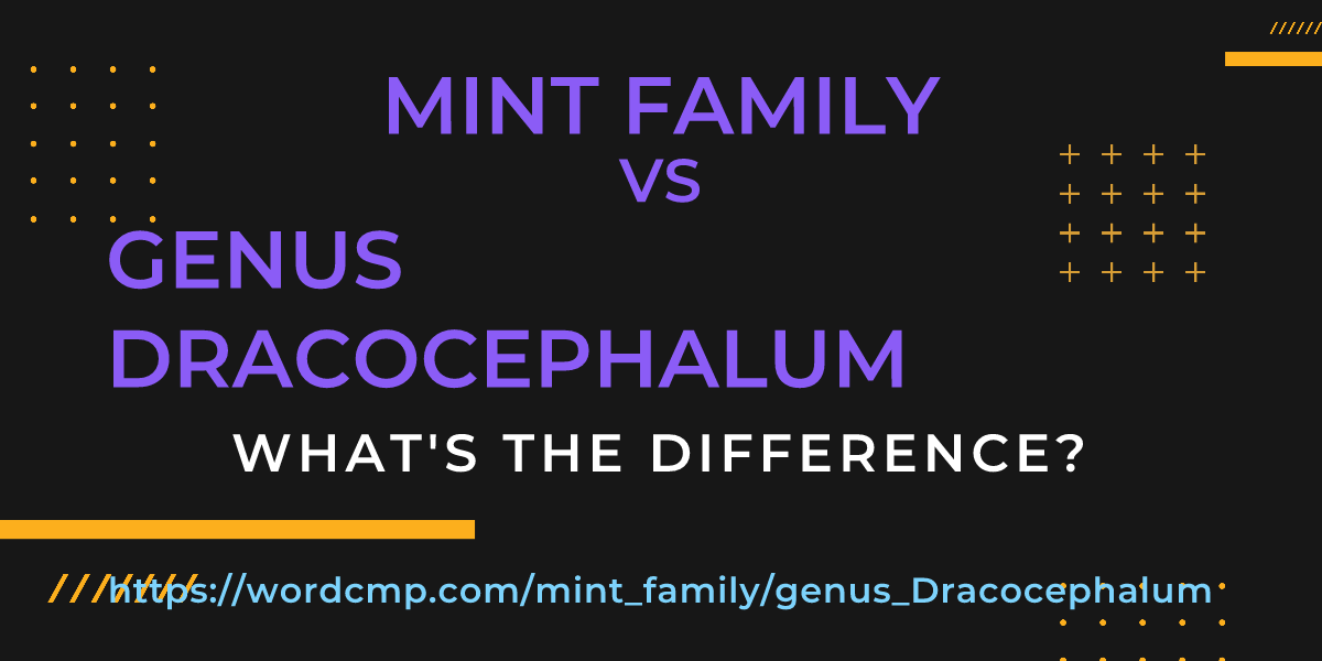 Difference between mint family and genus Dracocephalum