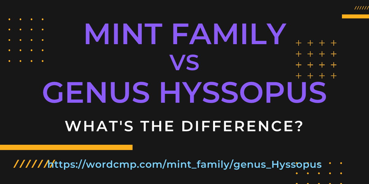 Difference between mint family and genus Hyssopus