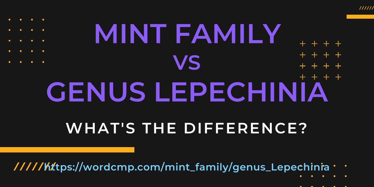 Difference between mint family and genus Lepechinia