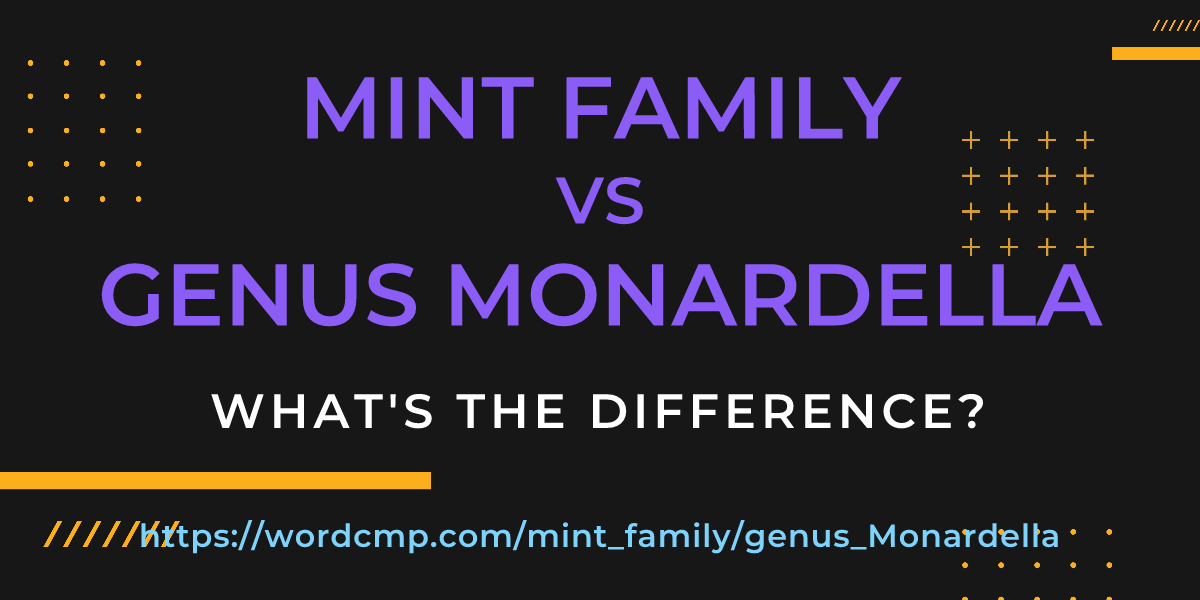 Difference between mint family and genus Monardella