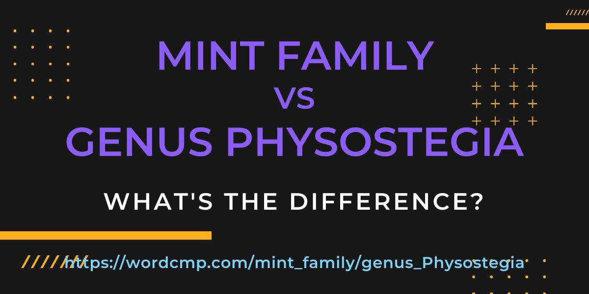 Difference between mint family and genus Physostegia