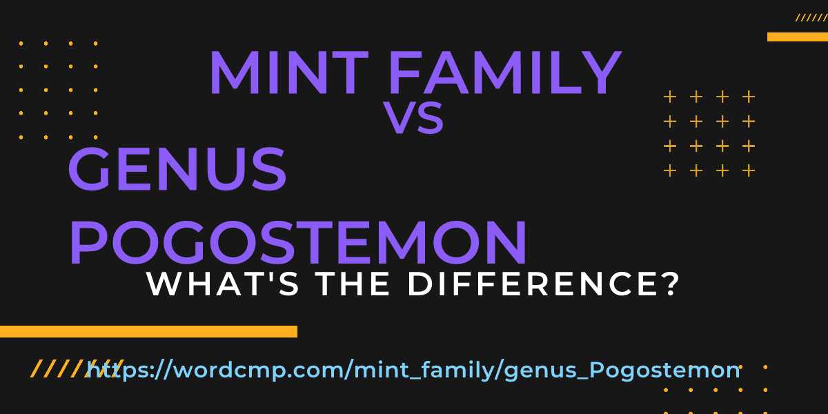 Difference between mint family and genus Pogostemon