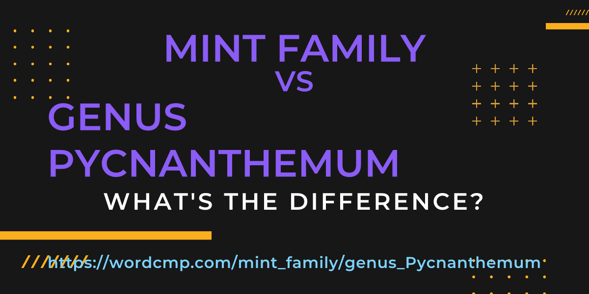Difference between mint family and genus Pycnanthemum