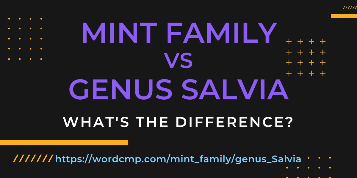 Difference between mint family and genus Salvia