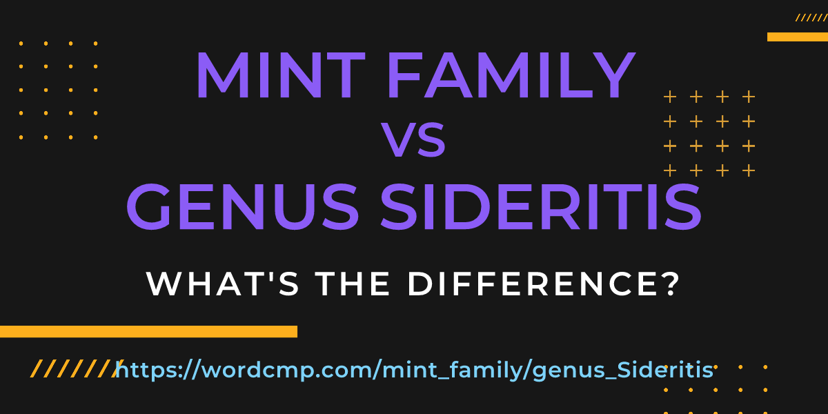 Difference between mint family and genus Sideritis