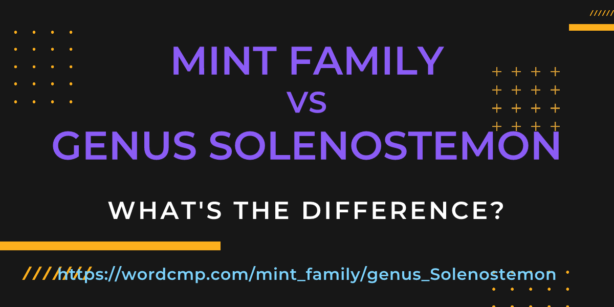 Difference between mint family and genus Solenostemon
