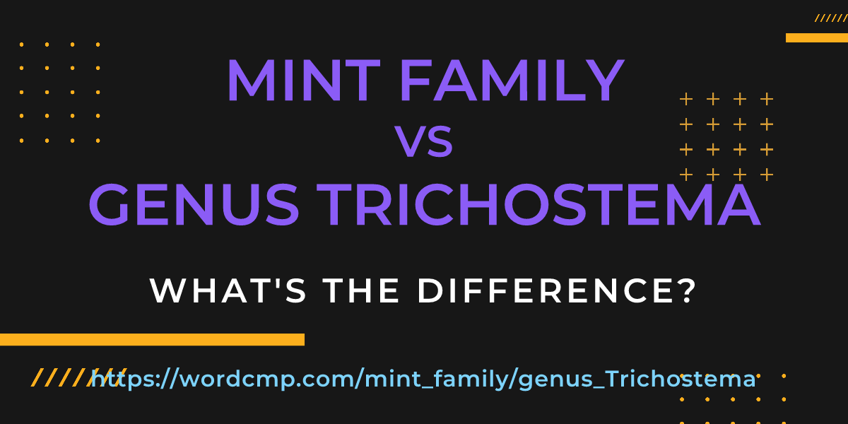 Difference between mint family and genus Trichostema