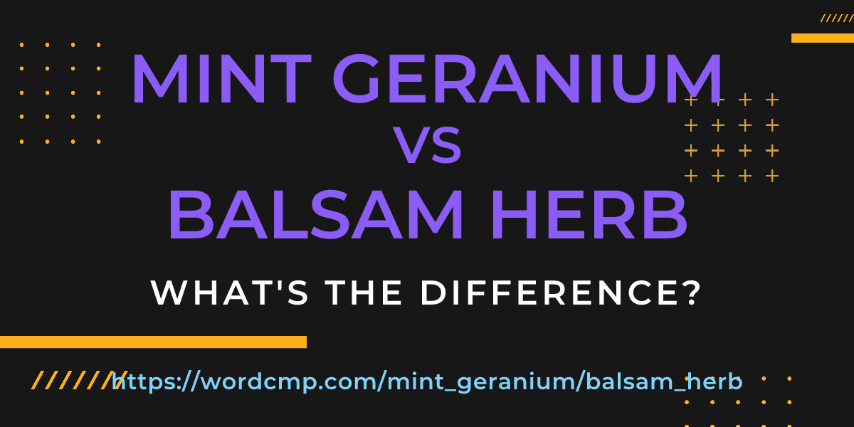Difference between mint geranium and balsam herb
