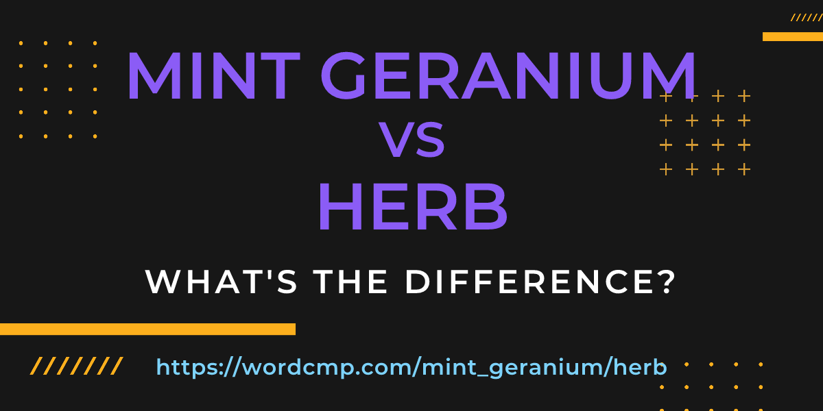 Difference between mint geranium and herb