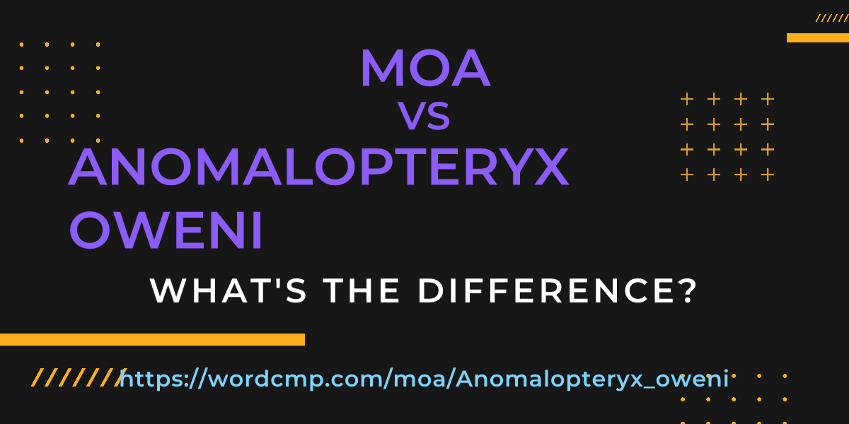 Difference between moa and Anomalopteryx oweni