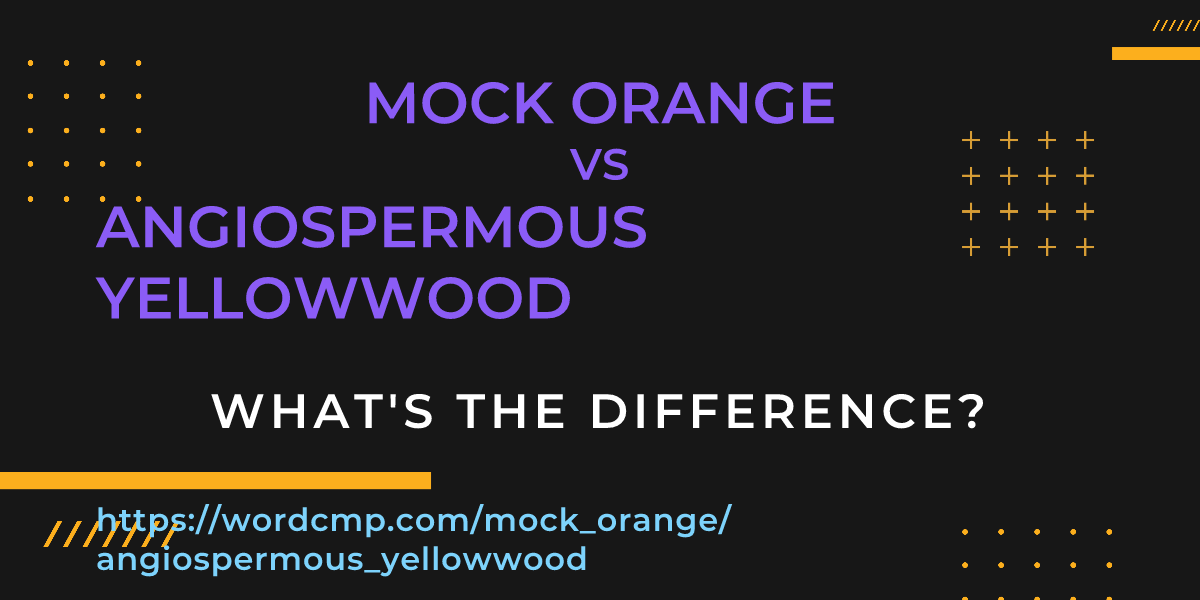 Difference between mock orange and angiospermous yellowwood