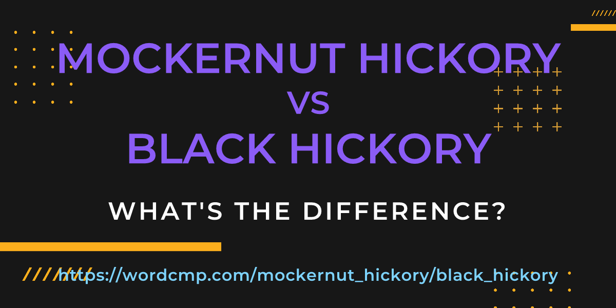 Difference between mockernut hickory and black hickory