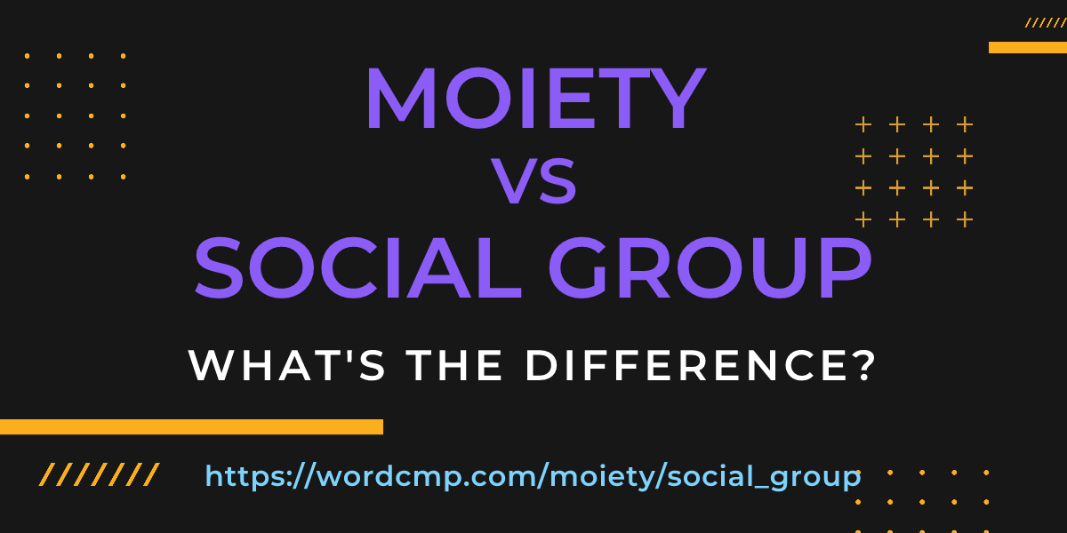 Difference between moiety and social group