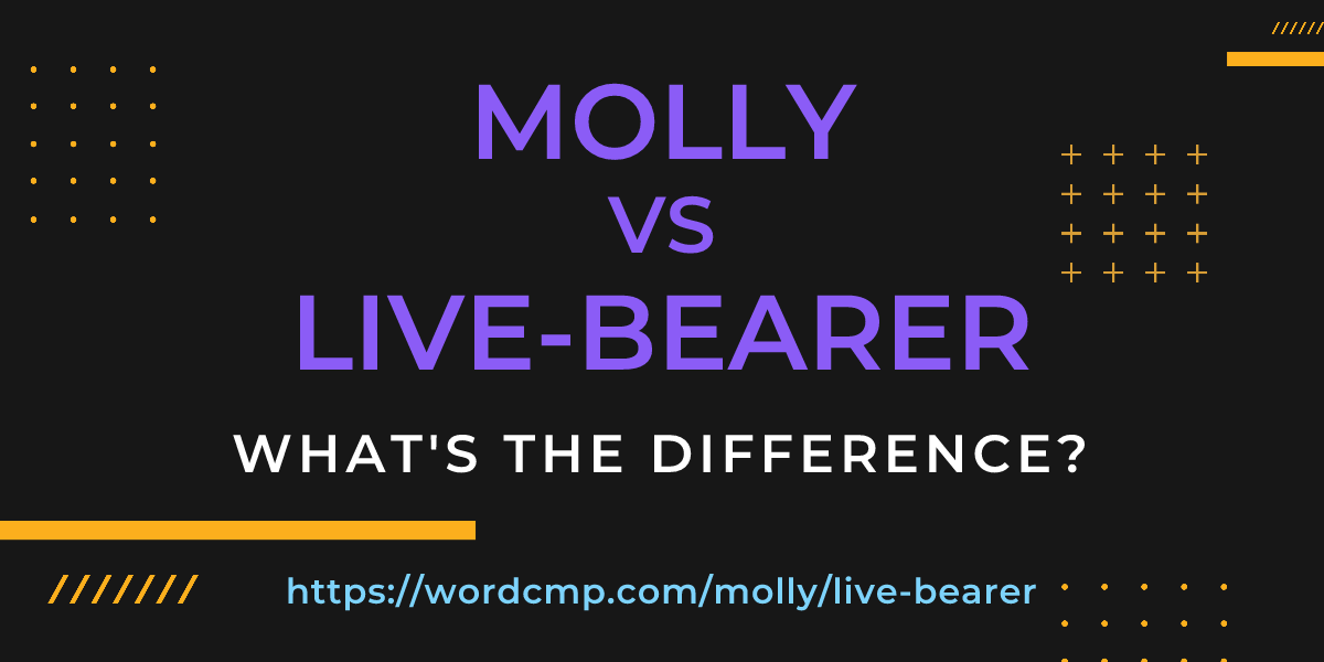 Difference between molly and live-bearer