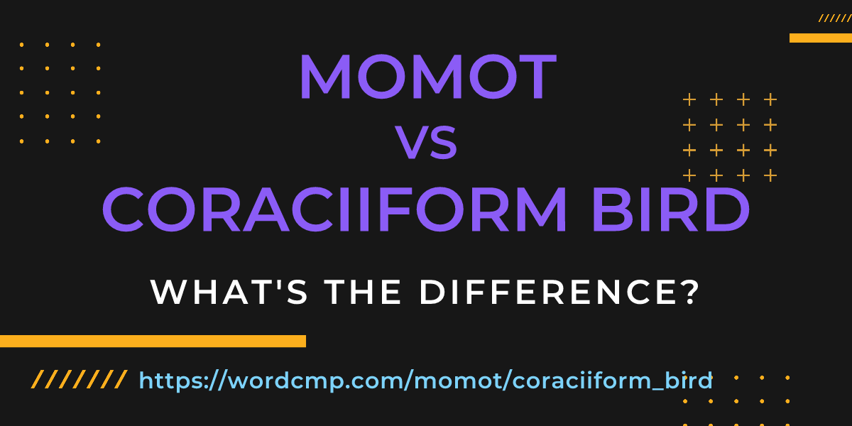 Difference between momot and coraciiform bird