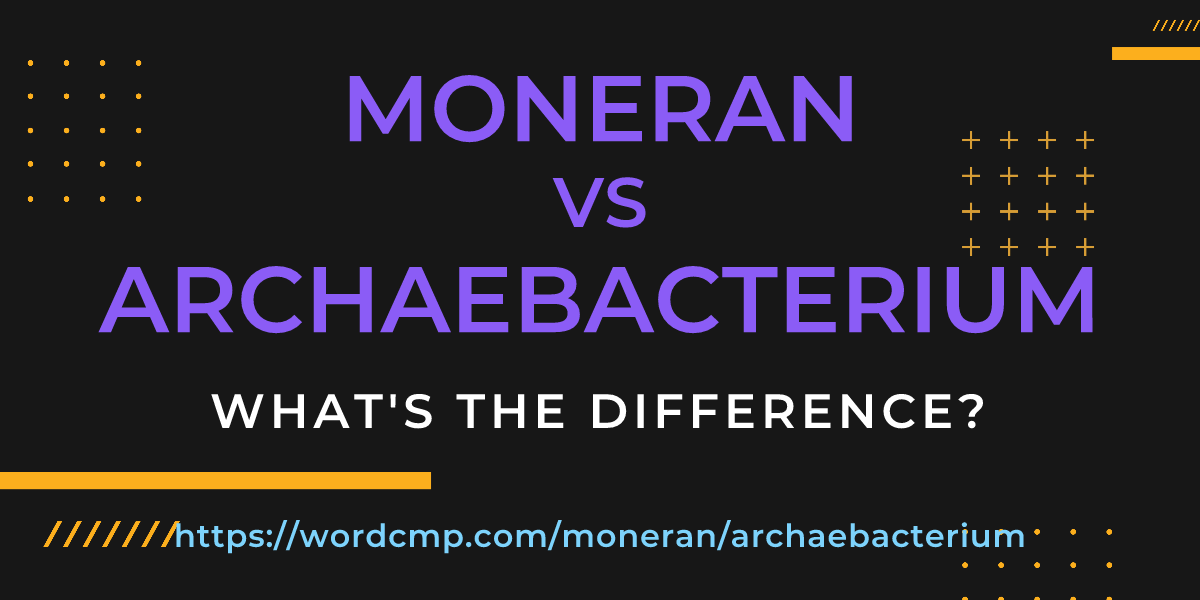 Difference between moneran and archaebacterium