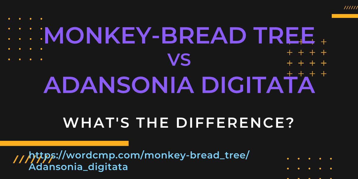 Difference between monkey-bread tree and Adansonia digitata