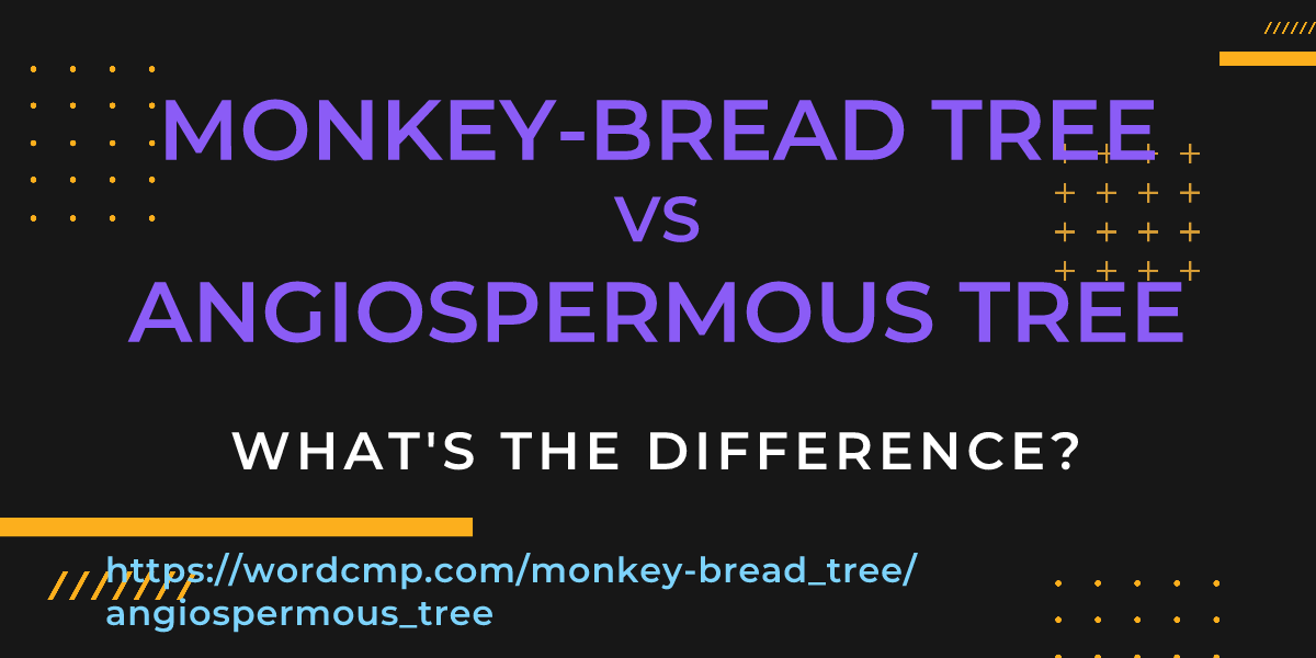 Difference between monkey-bread tree and angiospermous tree