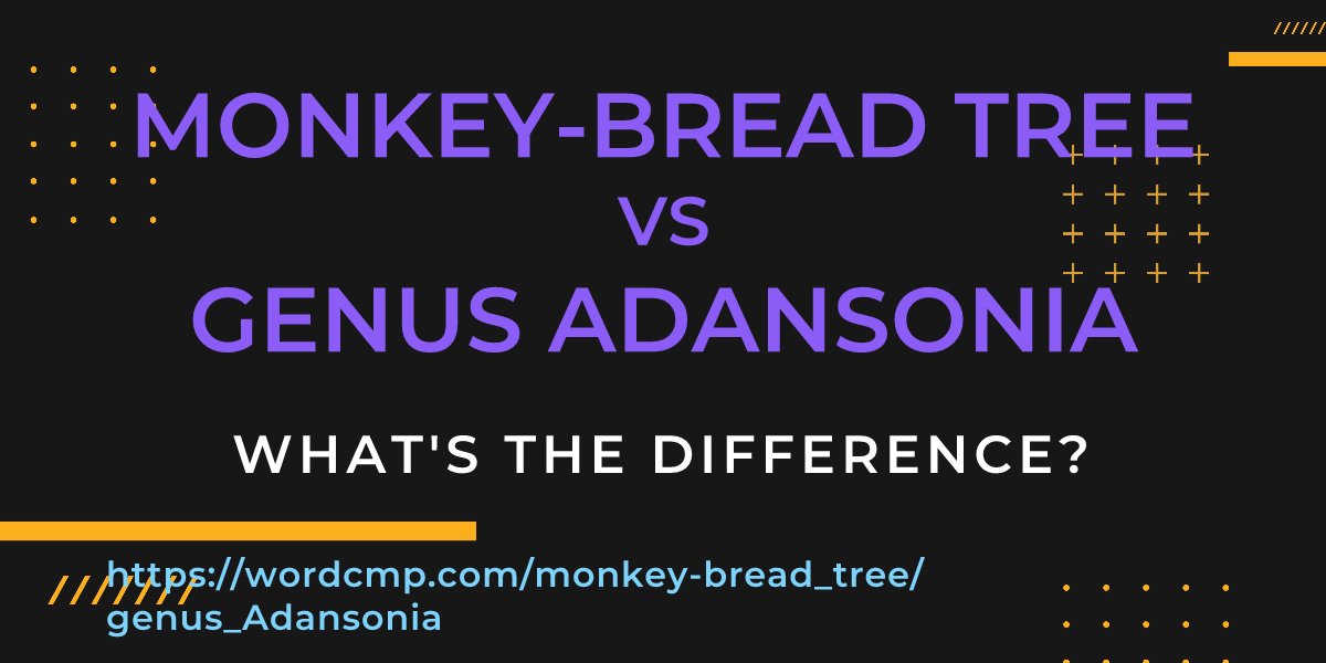 Difference between monkey-bread tree and genus Adansonia