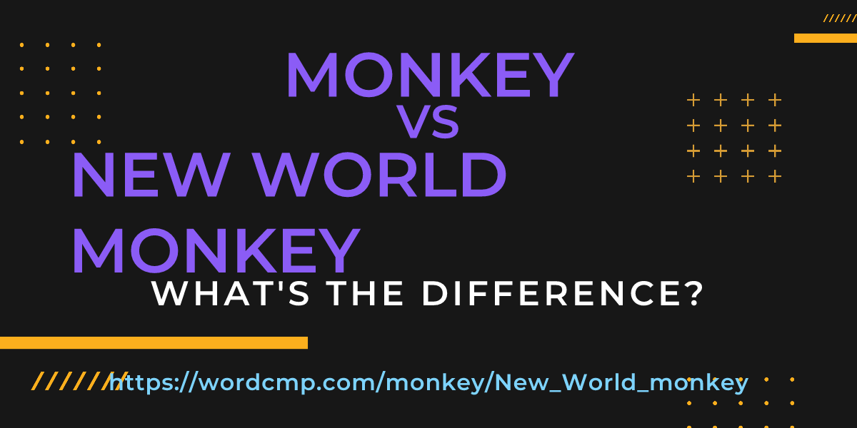 Difference between monkey and New World monkey