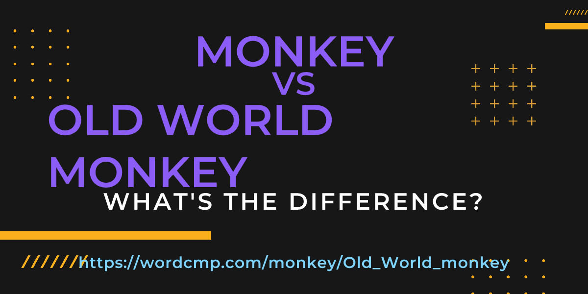 Difference between monkey and Old World monkey