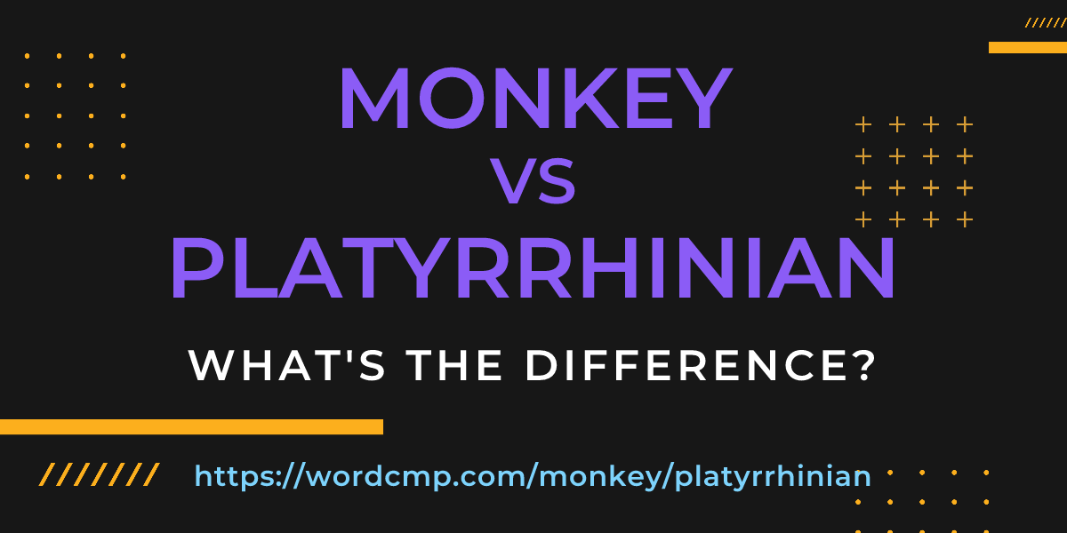 Difference between monkey and platyrrhinian